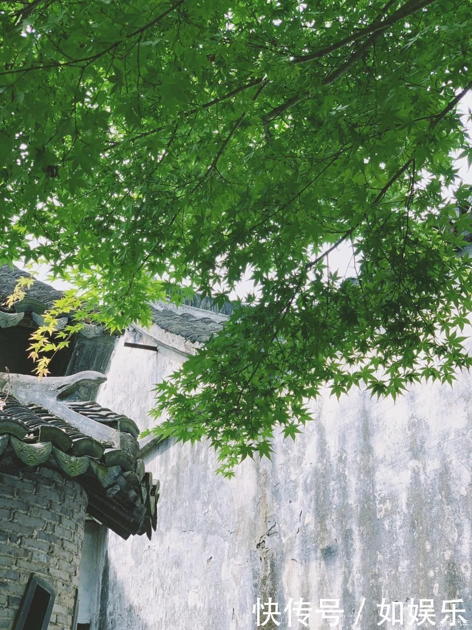 袜底酥|缥缈烟雨，魂牵梦绕，打卡四季分明的水乡古镇