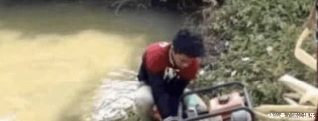 减少|鱼塘的鱼儿减少,主人把鱼塘里的水抽干,结果却发现宝贝了