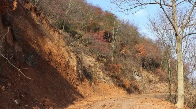 手艺|秦岭深山，主人家做饭手艺不错，满屋子香味