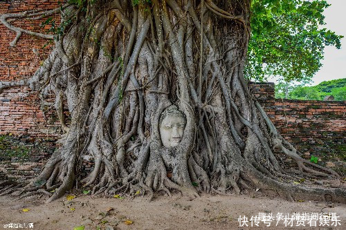 玛哈泰寺|泰国大城“低调古寺”，是昔日王城的核心，拥有“树抱佛头”奇景