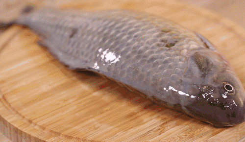 擀面杖|不用菜刀不用刨，刮鱼鳞只要一个塑料袋，又快又干净，不飞溅不腥