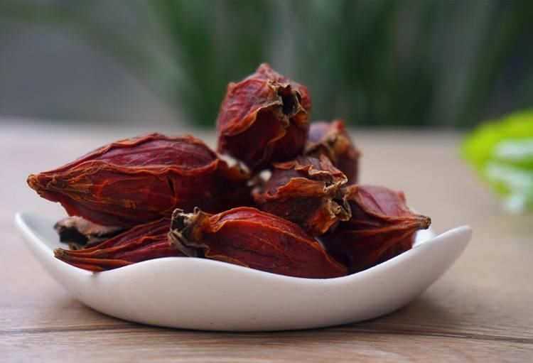 栀子|张仲景治上热中寒的小方子两味药,改善一边上火,一边脾虚