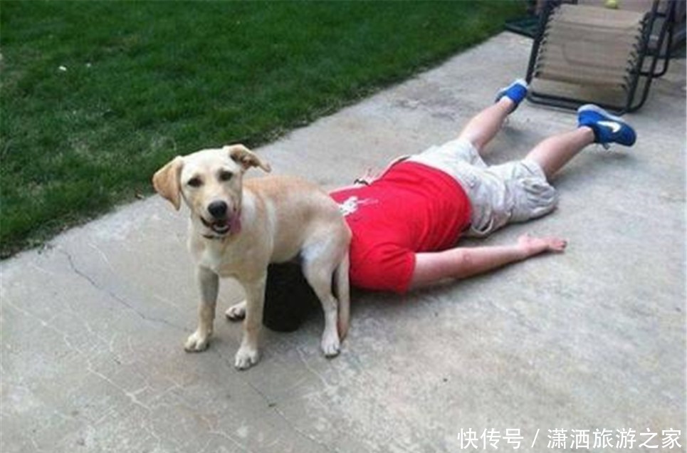 安抚|小舅舅睡醒没找到妈妈急得直哭，外甥眼含热泪“婴语”安抚我懂你