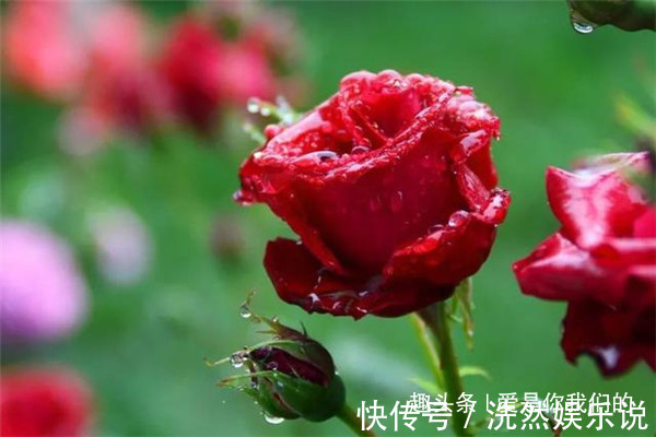 出息|父母只要有一人出生在农历这6天,孩子相貌好,福气更好!