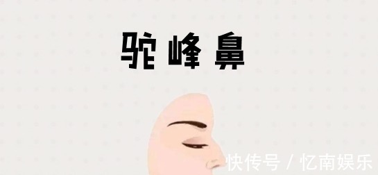 运势|你的鼻子什么样就是什么命？有钱人的鼻子长什么样？