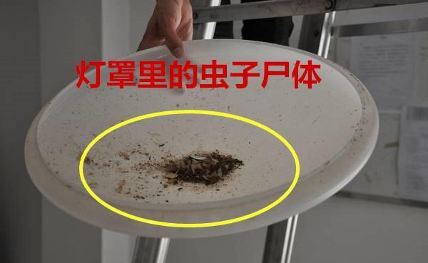 装修坑|刚乔迁新房濒临崩溃!19大装修坑纯粹是制造麻烦,大跌眼镜!气晕