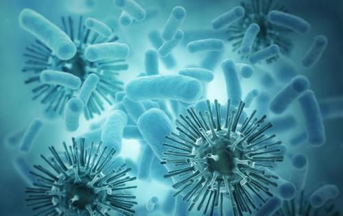 李女士|孩子出生后的“第一抱”,最好别是这5种人,不是迷信有科学依据