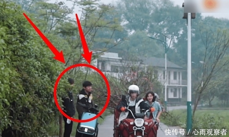 节目 何炅差点被树苗刮到脸,看到杨紫的下意识反应,难怪她人缘这么好