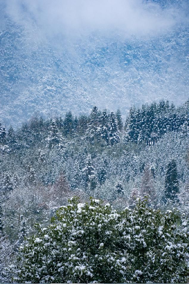 一大|德阳各地雪景美照大曝光！隔壁城市都羡慕哭了！一大波视频照片……