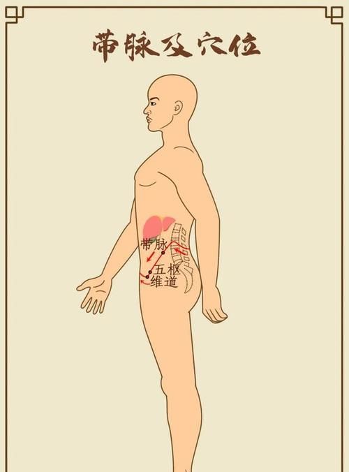 肝经|这个地方通了，大腿、肚子和背竟然都瘦了，脾胃也好了，不信试试