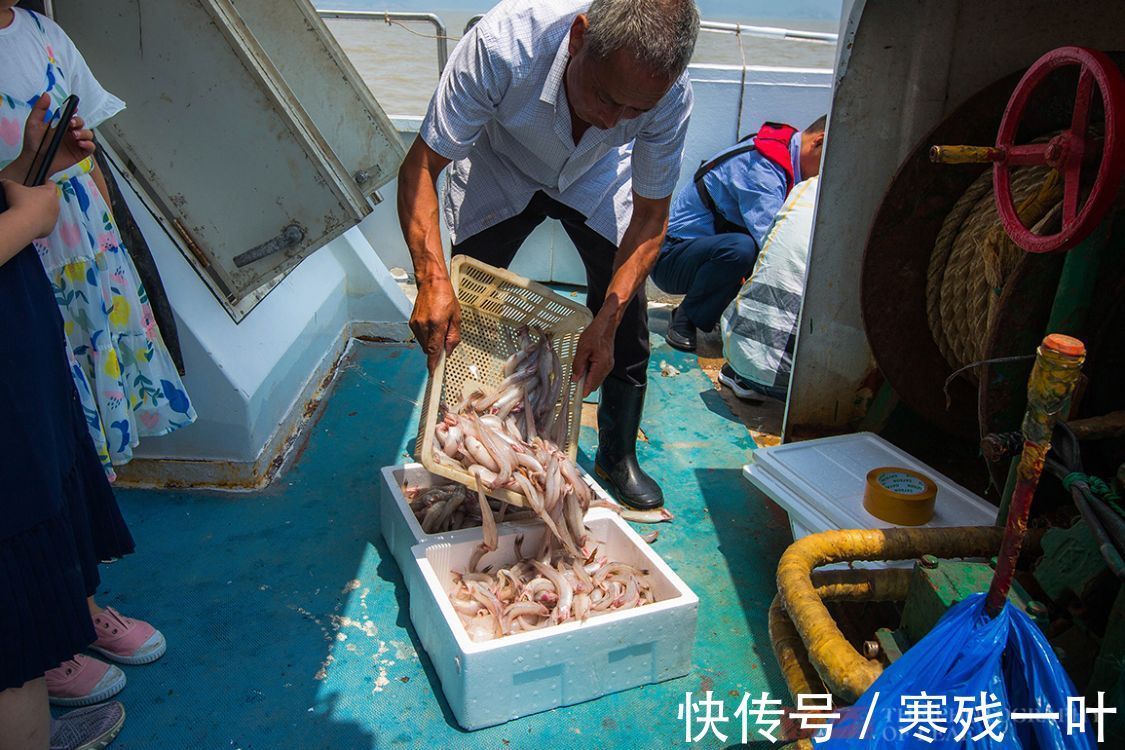 象山|二十人4500元包船出海捕鱼，捕获的海鲜吃完一餐，每人还分到一箱