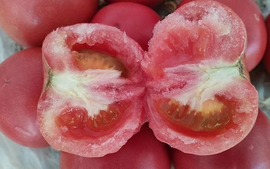 激素|西红柿打没打激素,种植户教你一招,牢记这“3不买”,一眼看出