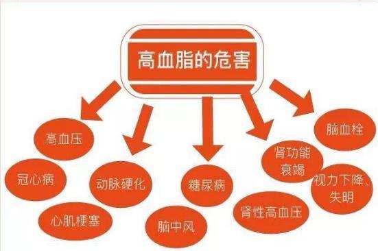 血管|高血脂“克星”公开,避免做这几件事,血管干净通畅