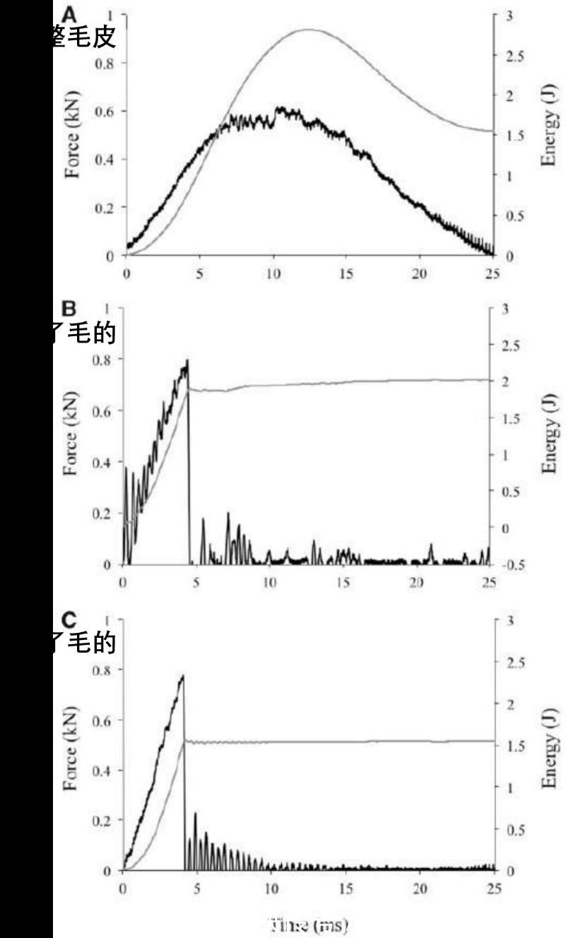 |2021年搞笑诺贝尔奖：留大胡子的男人不容易挨打？论胡子对世界和平的贡献……