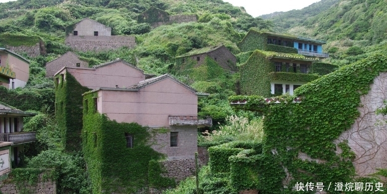 实拍浙江枸杞岛无人村：村民全部搬走成鬼村，墙上长满爬山虎如童话世界