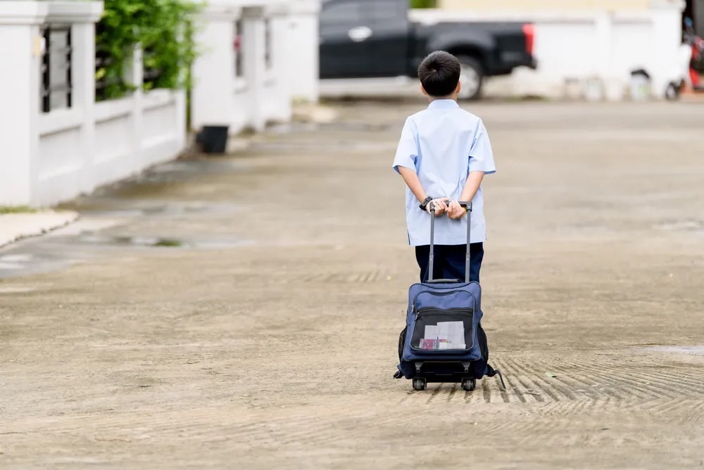 学习习惯|如何养出自律、独立的孩子？父母要牢记“三不惯两不管”