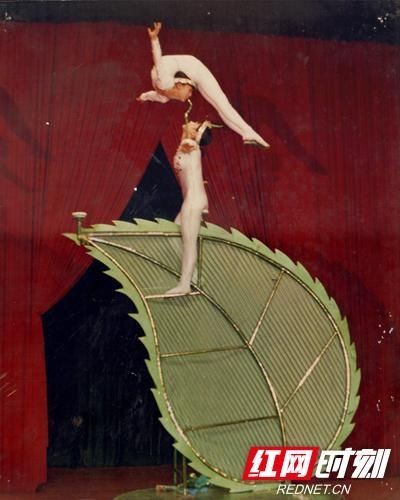  中国杂技家|坚持让我更加坚定——记杂技艺术家赵双午