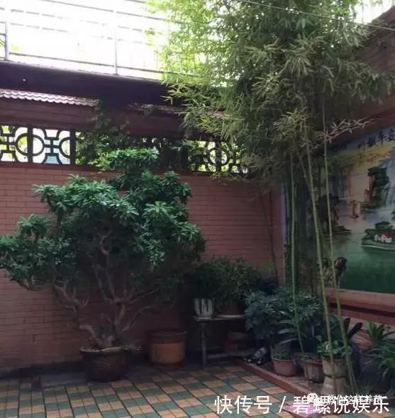 花花|20年的兰花,100年的仙人掌长什么样开眼了!