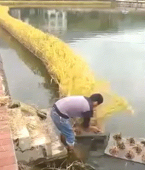 |搞笑GIF趣图:如果有个人对我这么贴心,那我做梦都能笑醒