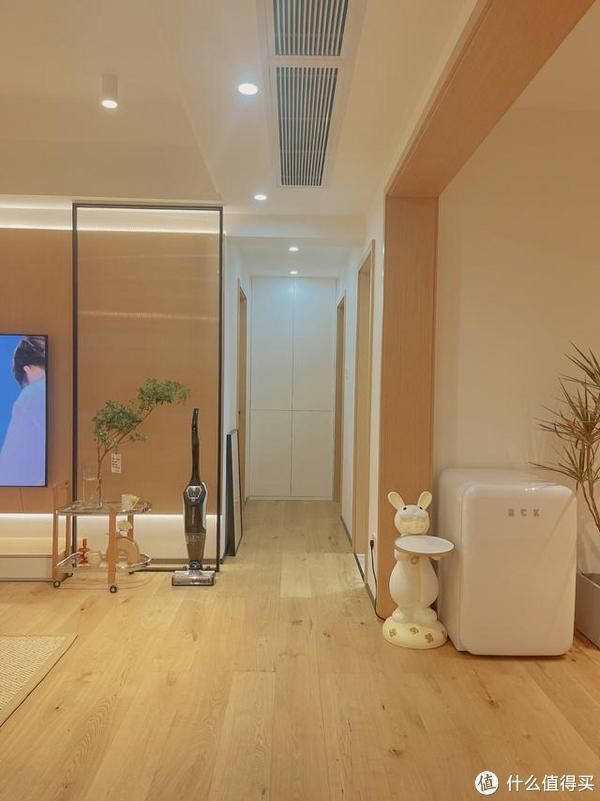 收纳|长沙发现一户人家，客厅那叫一个高级！拍照给大家瞧瞧，太羡慕了