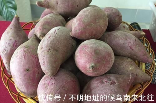 好处|常吃红薯好处多,但是吃红薯要注意“2不”,请告诉家人和朋友