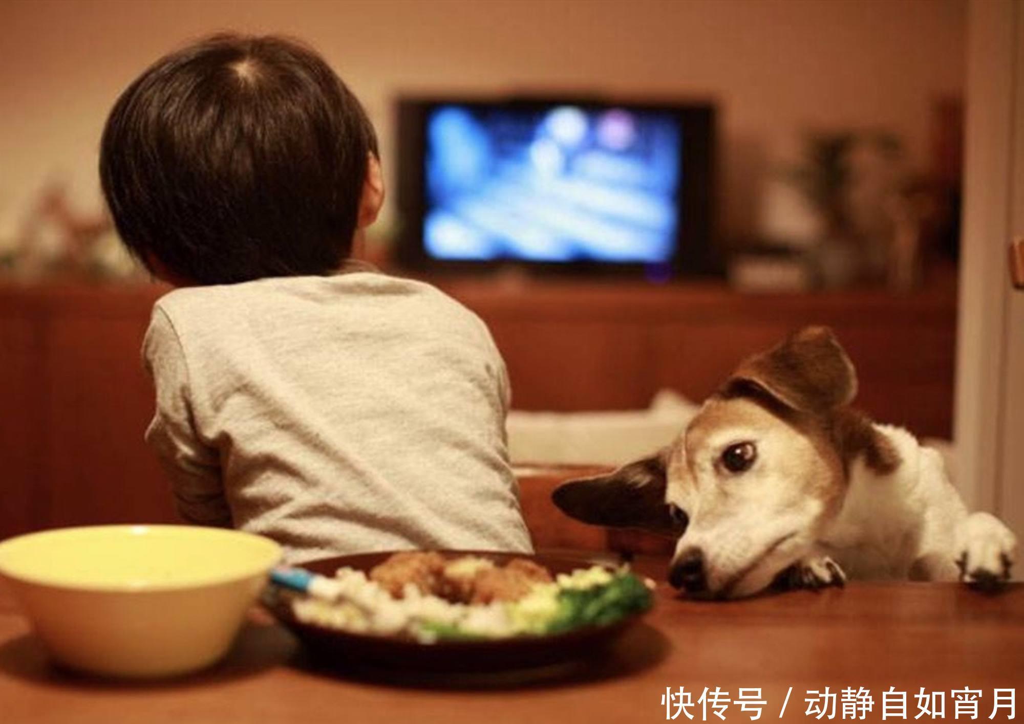 反对孩子们|哈佛大学研究:“经常看电视”和“不看电视”的孩子差距一目了然