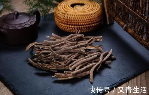 刺五加|一味中药分三种,一种祛风湿强筋骨,一种健脾、肺、肾,一种有毒
