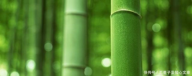 千古名句$诗佛王维最美的一首诗,短短20个字,句句都是千古名句