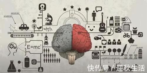 核桃|大脑的最爱根本不是核桃!它富含DHA,菜场里很便宜,常吃健脑