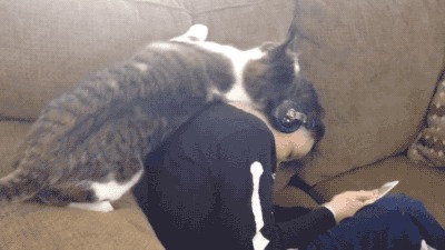 |搞笑GIF:防火防盗防闺蜜 这样的闺蜜不要也罢