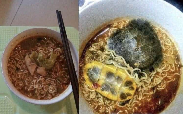 女朋友煮|亲哥煮面条vs女友煮面条,差距太明显,男友我觉得我不饿真的