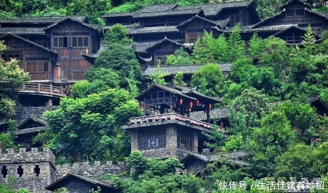 熬鱼汤,这做法简单又高级,《中餐厅4》张亮力荐,太鲜了