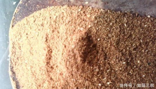 养花“不买”营养土,回家找“4种料”掺一掺,养啥花都旺爆盆