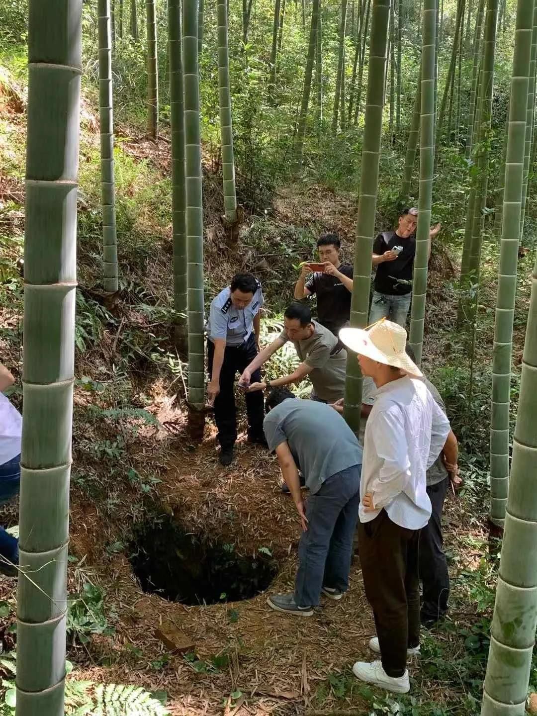 青花瓷$盗挖文物80万，13人团伙被一窝端！