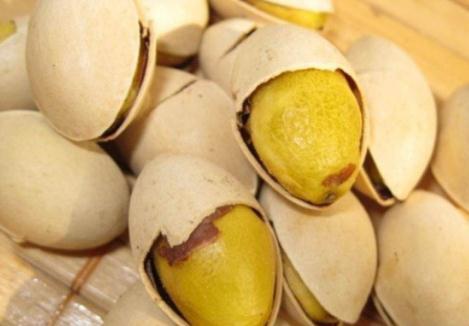 秋季这种“金果”掉满地,大家都说有毒,大妈却抢着捡回家