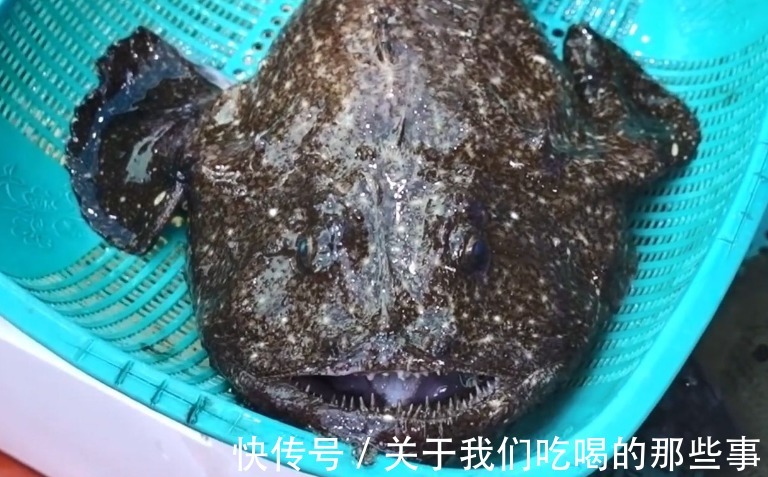 黄姑鱼|喜欢吃鱼，认准6种海鱼买，人工养不了，肉质鲜嫩营养高，无污染放心吃