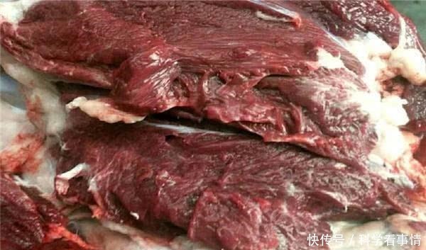 驴肉好吃又有营养,一头驴价格也不低,为什么养驴的人很少