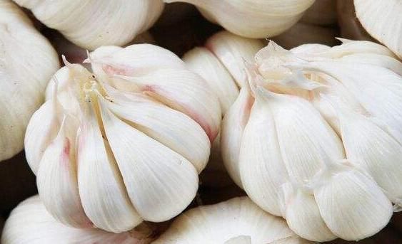 大蒜百利却有一害，且危害极大，为了身体健康，别再不当回事