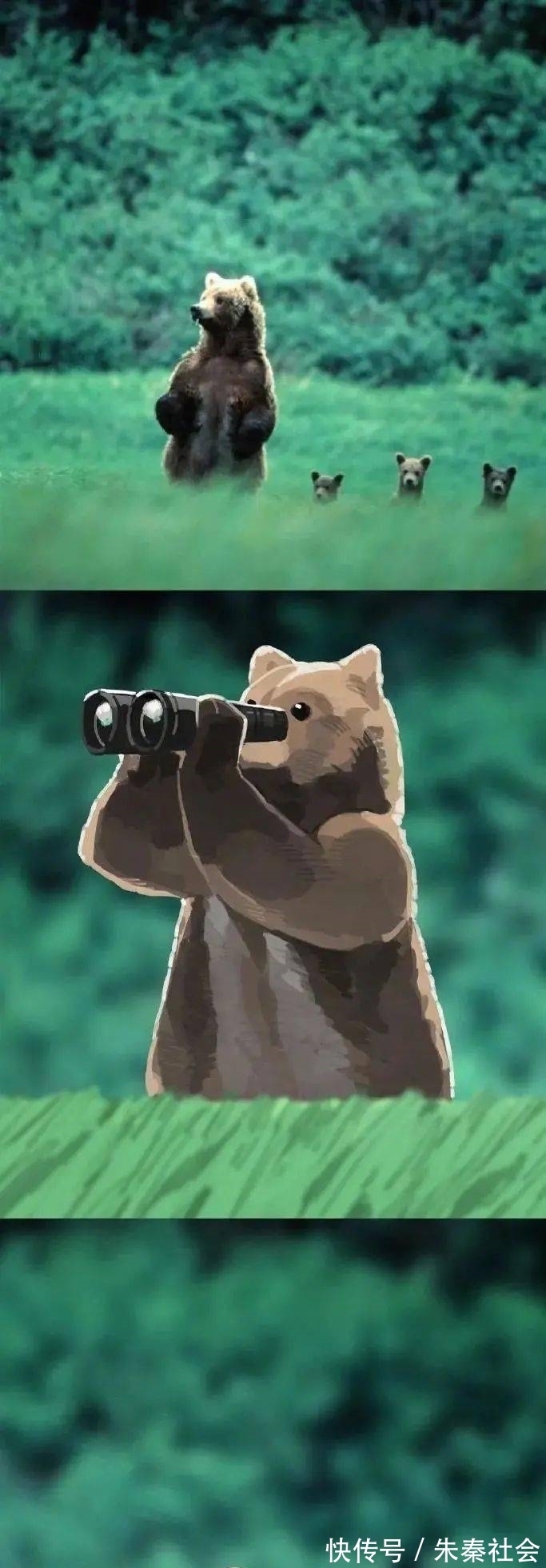 小动物|现实中的小动物漫改成二次元后是什么样?太有故事性了吧!