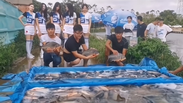 广东|广东钓鱼场请美女当陪钓,男顾客享受热情服务:操作都变味了