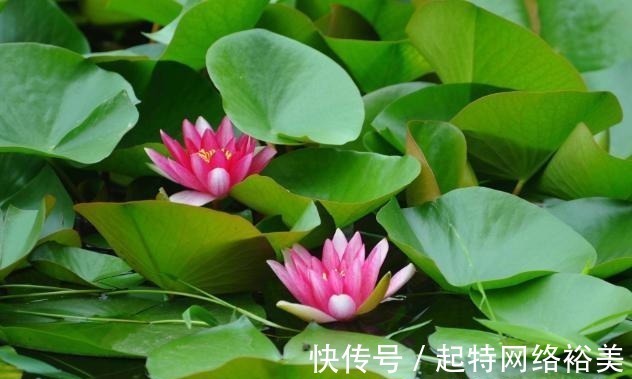 福运$老祖宗:积“阴德”的3件事,常做福运不请自来,你做了几件?