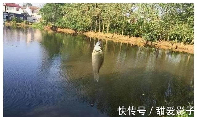 鱼儿|阴天出去垂钓,这几点做好了,渔获想少都难