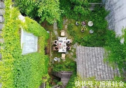 绿植|花卉、绿植、盆景、蔬菜，如果有自己的院子你更愿意养哪一种？