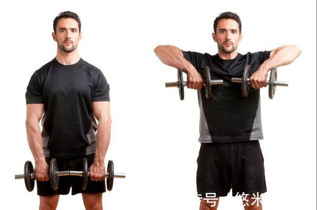 三角肌|肩部肌肉的详细训练方法,6个动作每周练1次,打造饱满球形肩