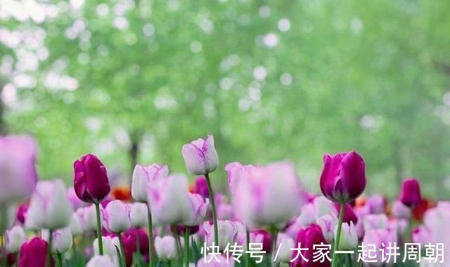 讽刺$唐末不知名诗人,写一首小诗,用春风狠狠地讽刺了那些“势利眼”