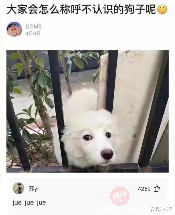 |沙雕段子为什么司马光不点火把水煮干救出孩子,一定要砸破水缸