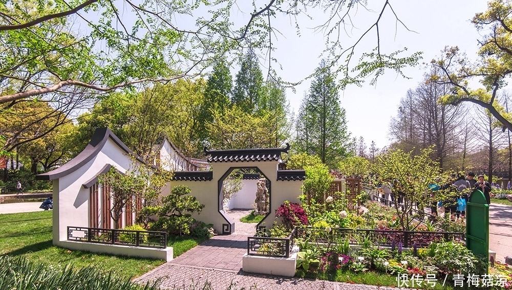 芳华满庭 上海国际花展上的精致园艺欣赏 天合乐学帮助家长发现孩子的更多可能