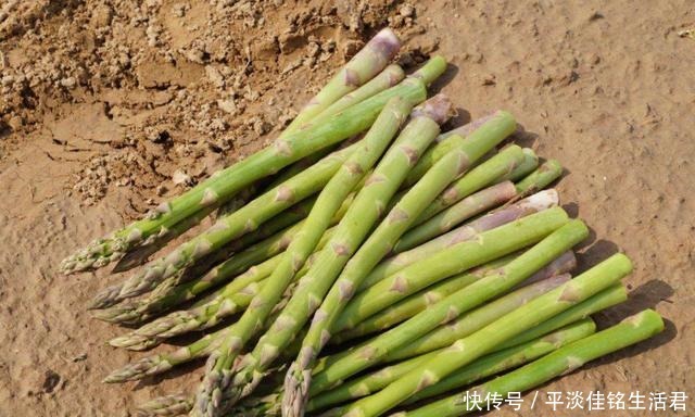 北方人“最吃不惯”的5种食物,难道喜欢吃的都是南方人