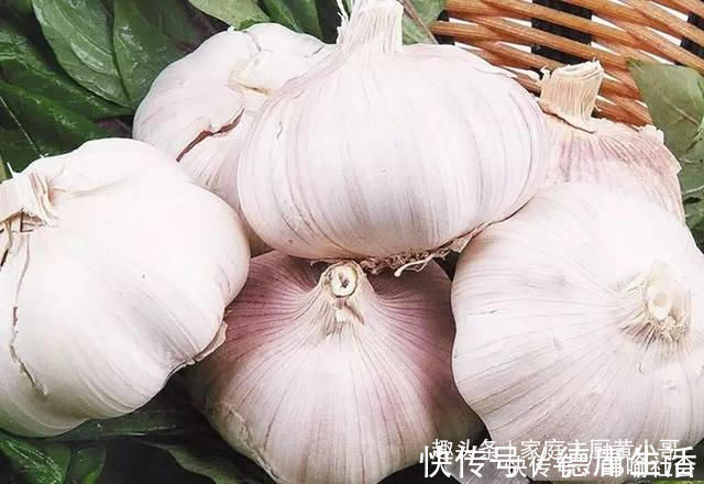 土法子|家里保存大蒜其实很简单,教你个土法子,别再担心大蒜长芽干瘪了