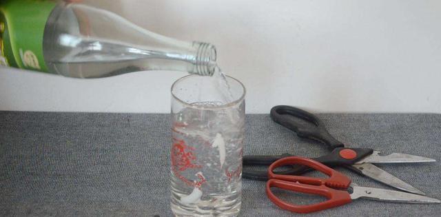 君子兰换盆时要剪根别太随意,剪错会整盆死